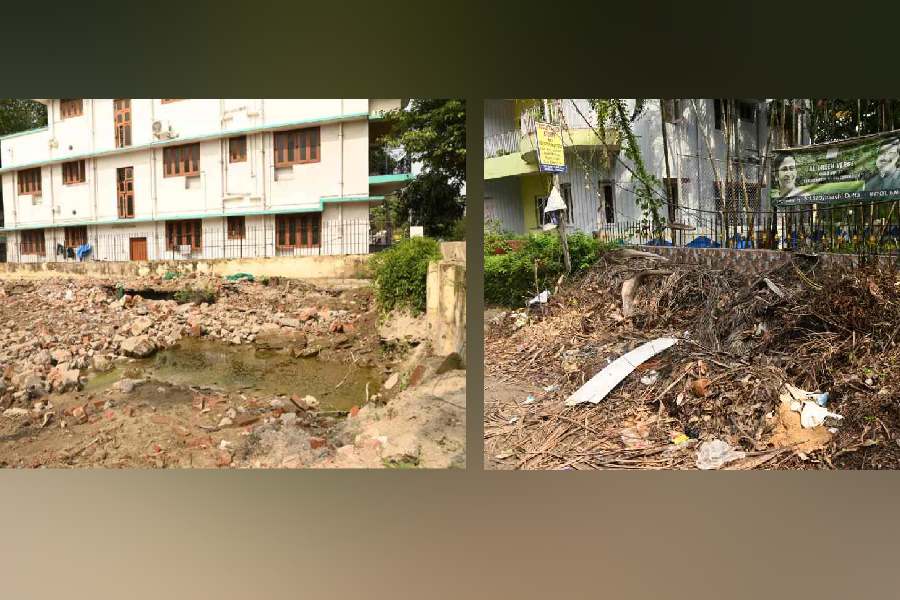 Stagnant water at a construction site near Tank no. 9, opposite CK Block, in Salt Lake; (right) garbage at a site outside Green Verge Park near the AE Block market