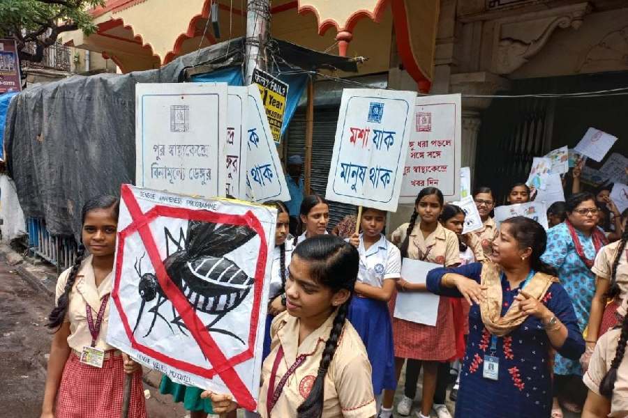 Students of Seth Soorajmull spread awareness about dengue in College Street area