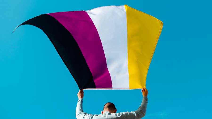 The non-binary flag was conceptualised in 2014