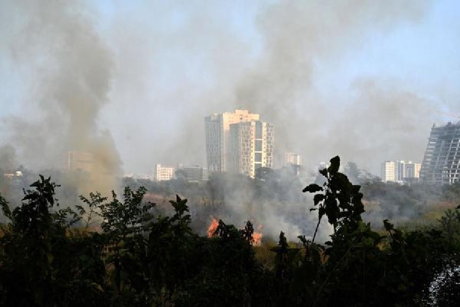 File picture of a grassland in New Town on fire