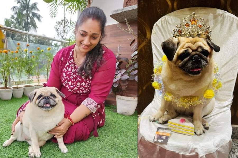 Baishali Roy plays with Puchu in their garden; Puchu all dressed up for his birthday last week