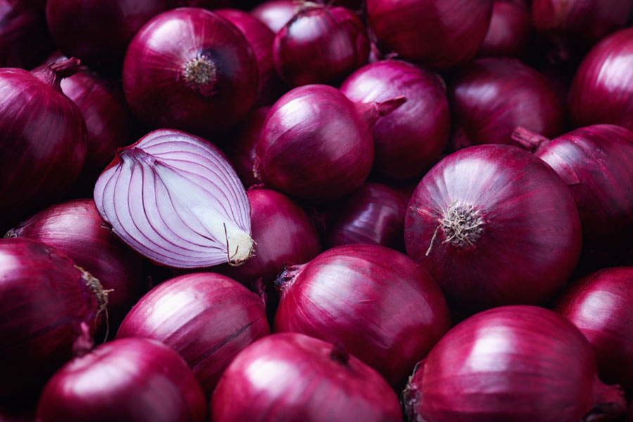 Modi government plans to procure 5 lakh tonnes of onion to balance interest of farmers and consumers