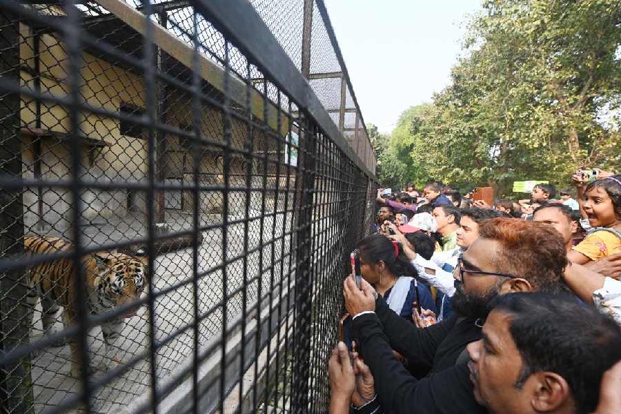 Large number of crowd at Alipur Zoo on Sunday.