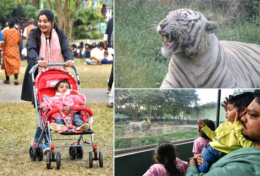 As winter sets in, children and their guardians throng Alipore Zoological Garden  