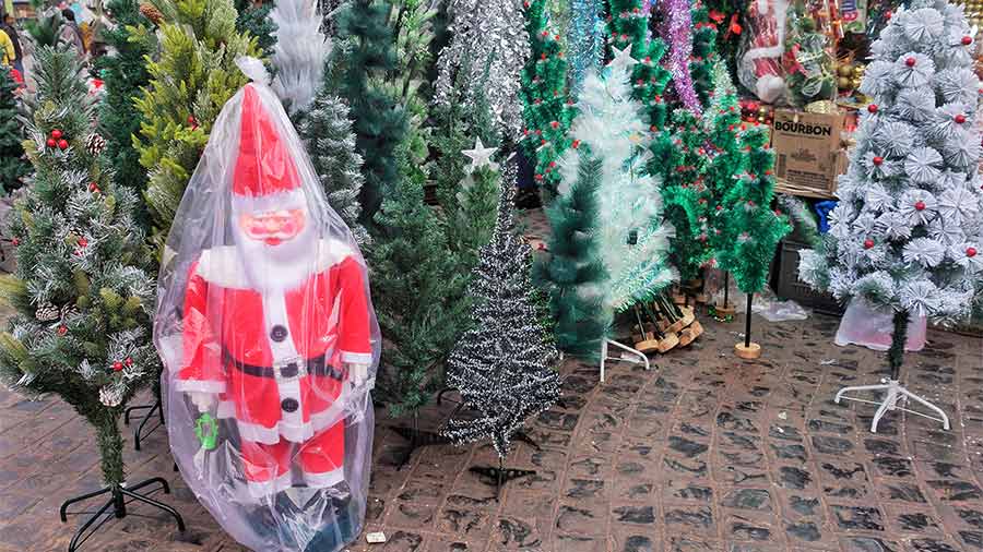 Christmas trees for sale outside New Market this year 