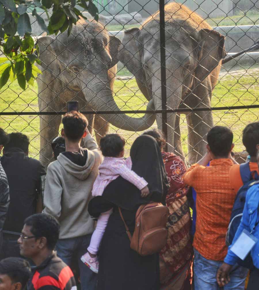 Visitors enjoyed a sunny winter afternoon at Alipore Zoological Garden on Sunday  