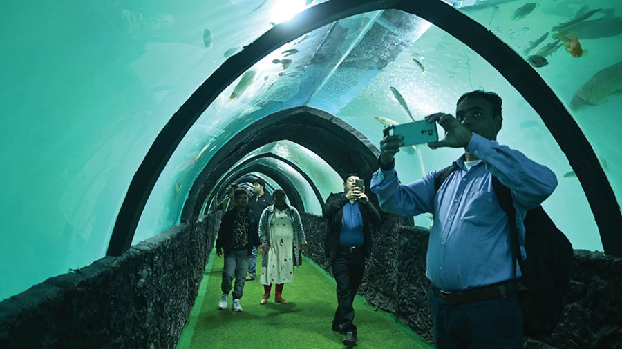 Walking through this tunnel with fishes on all sides was something visitors enjoyed while clicking pictures along the way