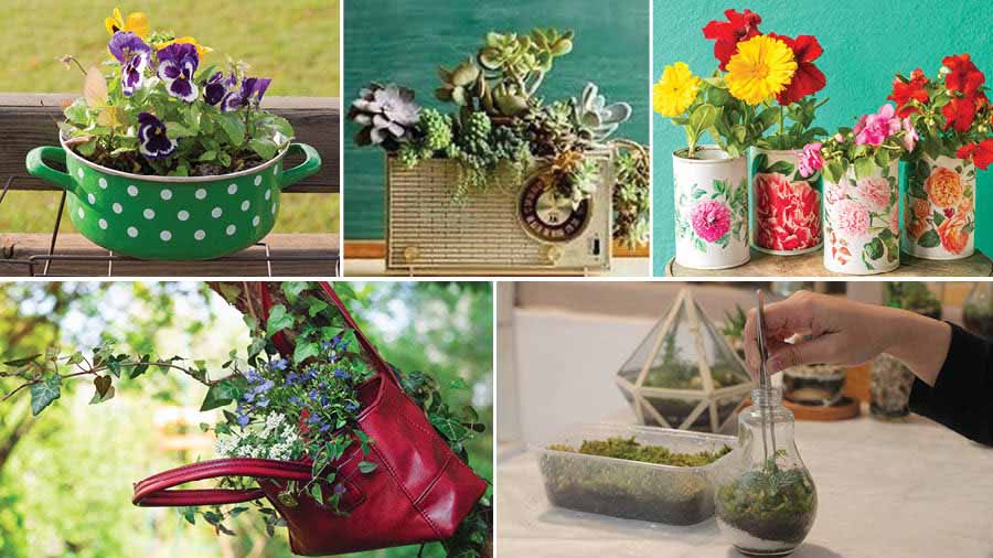 DIY planters with discarded items at home