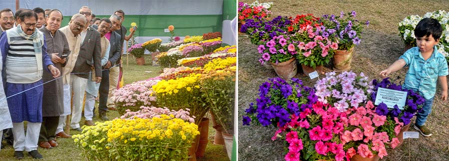 The 70th Chrysanthemum and Flower Show was inaugurated on Friday at the Assembly House Gardens by Biman Banerjee, speaker, West Bengal Legislative Assembly and patron-in-chief, Calcutta Flower Growers' Association