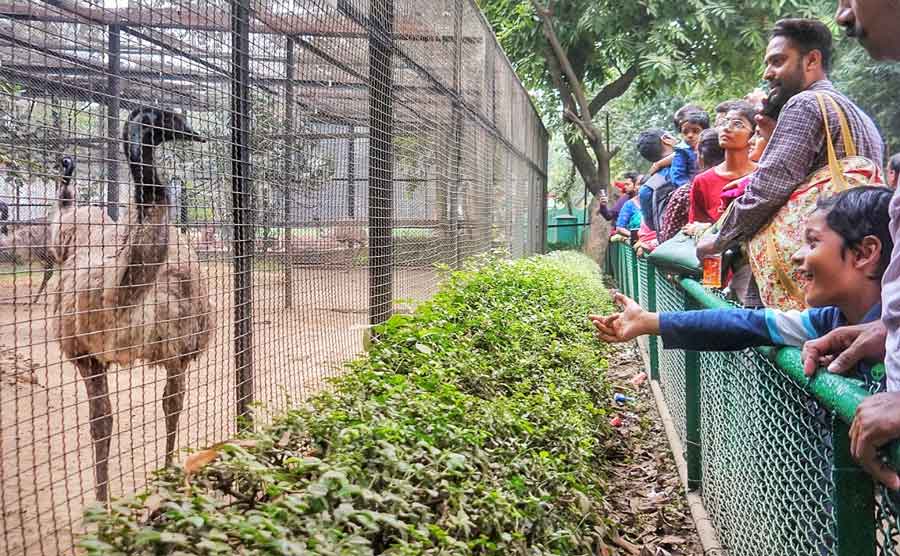 People thronged the Alipore Zoological Garden on a wintry Saturday afternoon