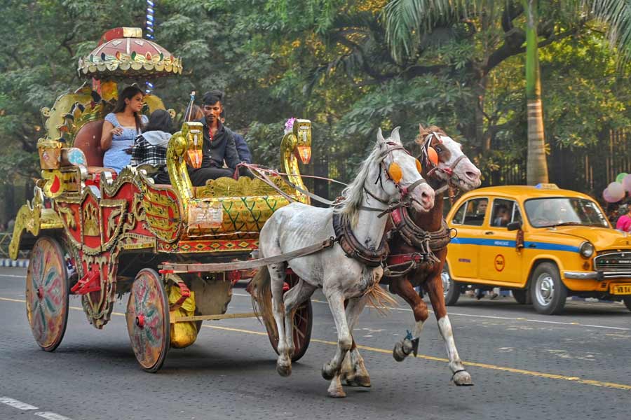 People enjoy a horse carriage ride near Victoria Memorial Hall on Sunday