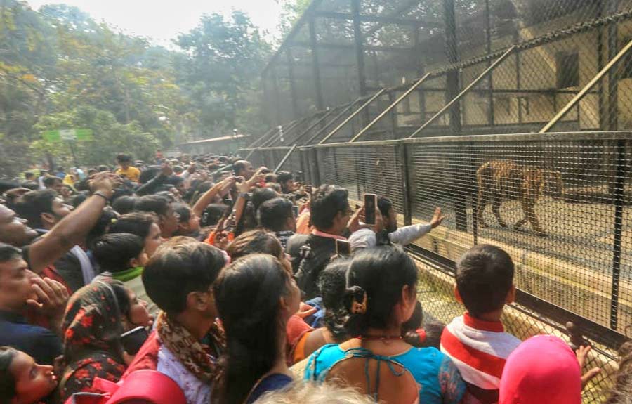 People thronged Alipore Zoological Garden on the occasion of Christmas