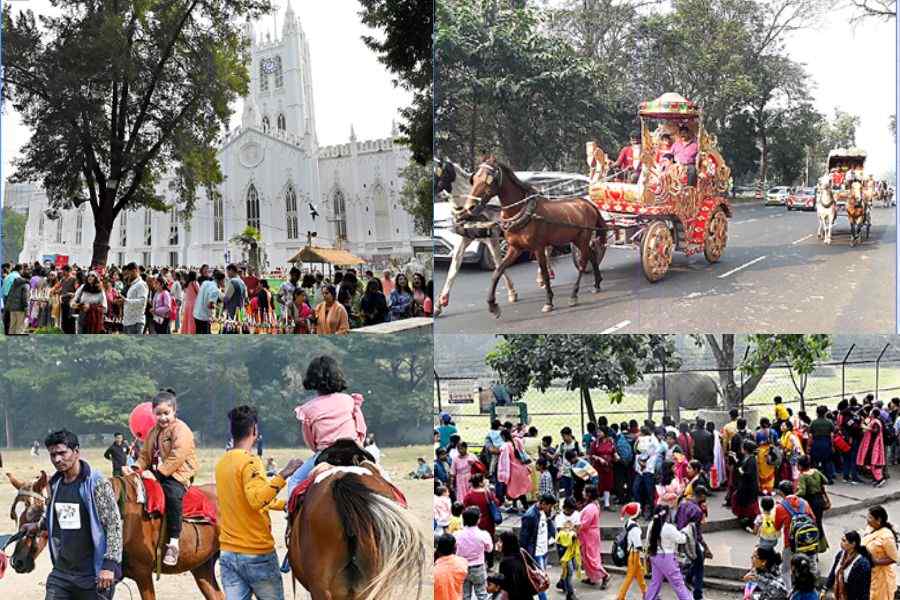 (Clockwise from top) St Paul's Cathedral, Casuarina Road, Maidan and Alipore Zoo: Revellers across the city on Christmas