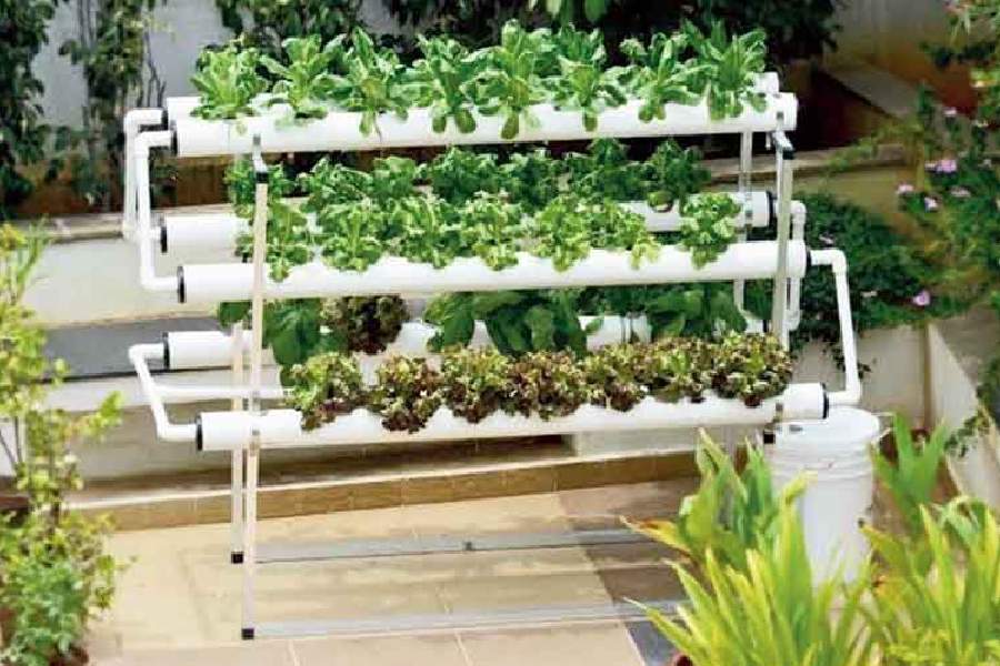 Hydroponics | Sustainable farming: Electrically conductive 'eSoil ...