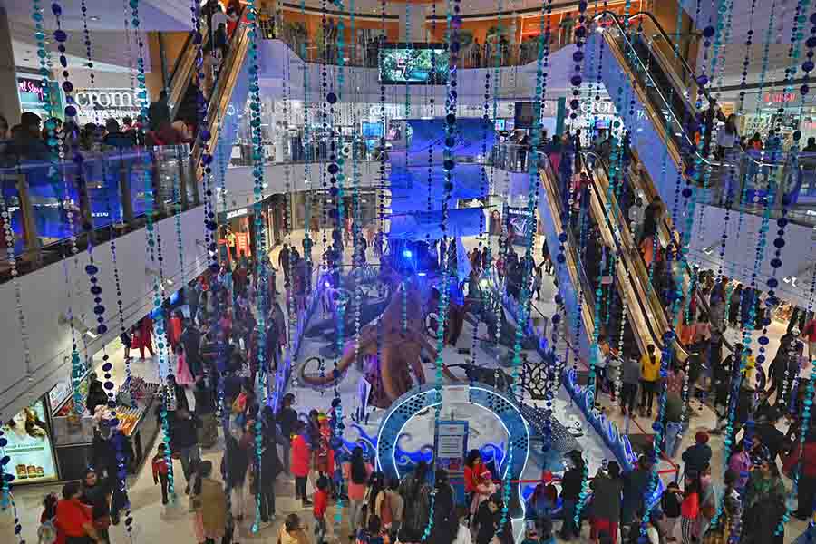 The festive rush on Christmas Day was unmistakable as a continuous stream of people kept pouring into Acropolis Mall. With Ocean World at the centre of the mall and decorations all around, the ambience was a joyous one — in keeping with the spirit of the season