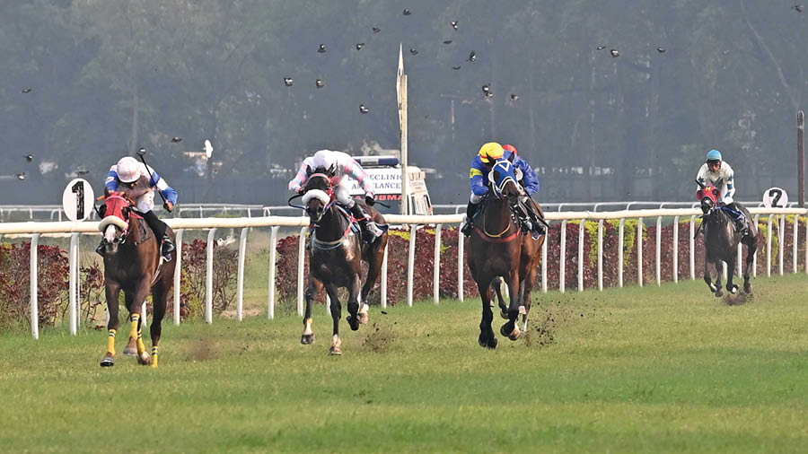 On an exciting winter derby day, steeds and riders competed in six races at the Kolkata Race Course of the Royal Calcutta Turf Club