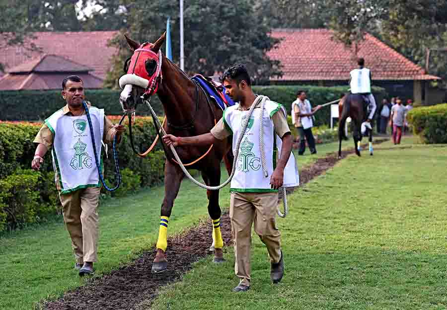 Horses underwent meticulous preparation, adorned in tailored pre-race attire, as they geared up for the race