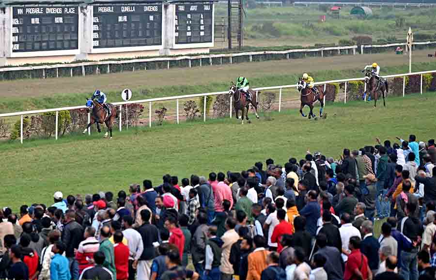 The crowd experiences an adrenaline rush, collectively standing up and stepping forward, all eager to catch a glimpse of the winning horse