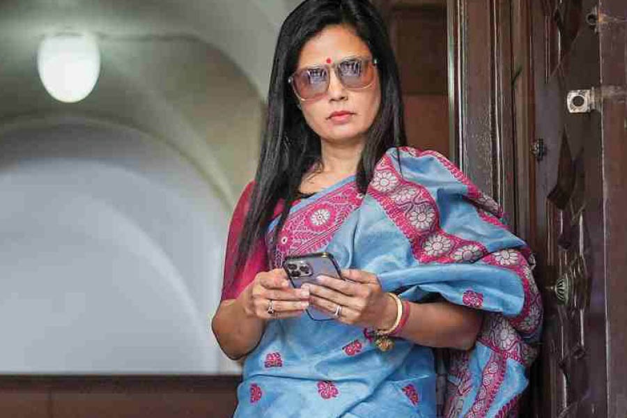 “It’s not the first time animals have entered Parliament and created a scene,” remarks Mahua Moitra   