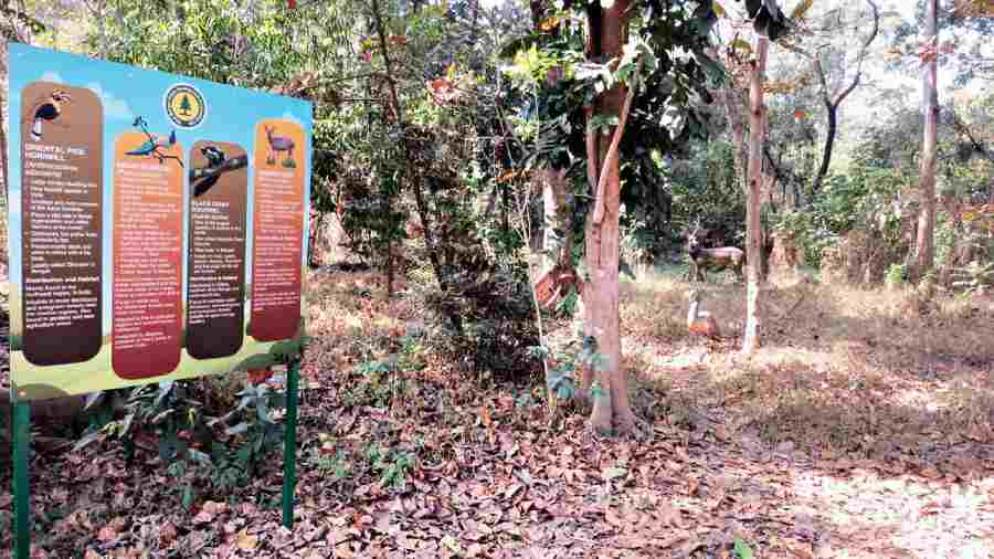 A board shares information on the models inside.