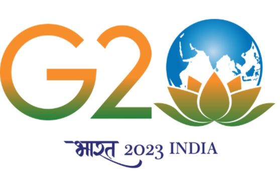 G20 