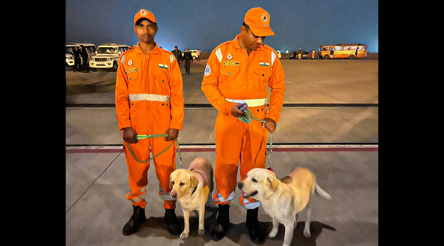Members of NDRF Search and Rescue Teams with specially trained dog squads depart for earthquake-hit Turkey.