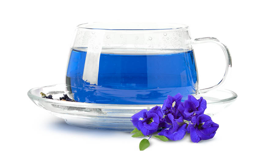 Blue tea is made of dried Aparajita (butterfly pea flower)