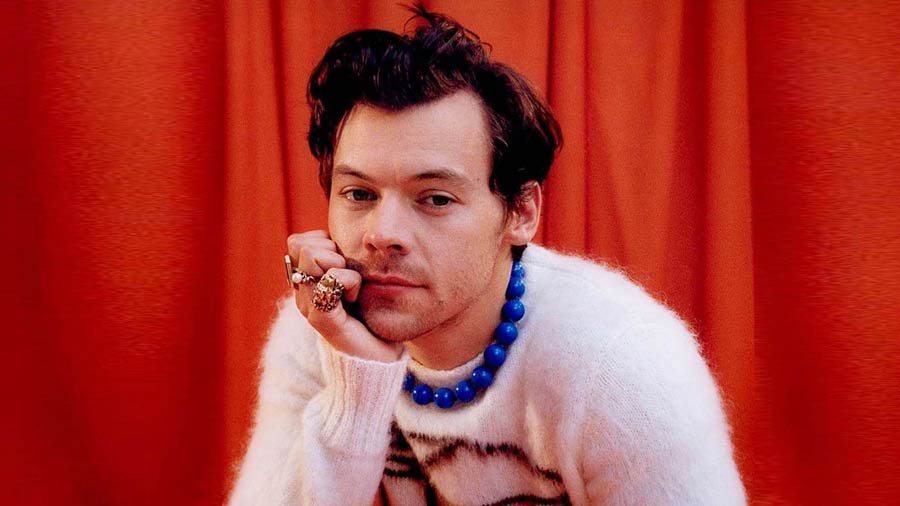 Fans of Harry Styles in Republican states think that this year’s Grammy Awards prove that Styles can no longer be seen as a beneficiary of white privilege