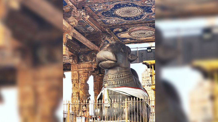 The statue of Nandi the bull at the Brihadisvara Temple in Thanjavur
