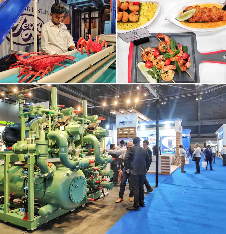 Seafood items on display at the seafood show at Biswa Bangla Mela Prangan. The event, organised by Marine Products Export Development Authority (MPEDA) in association with Seafood Exporters’ Association of India (SEAI), began on Wednesday and will continue till February 17