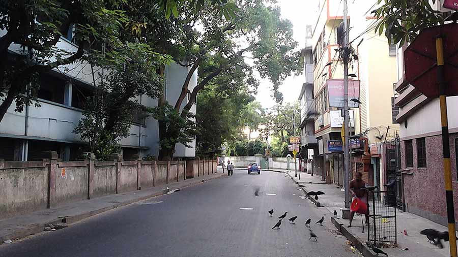 Kolkata’s erstwhile Swinhoe Street (now Anil Moitra Road)