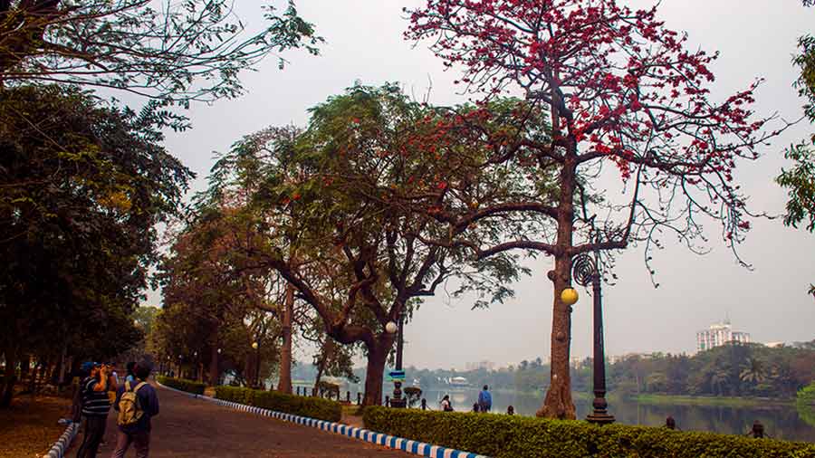 Rabindra Sarobar trail: Witness spring blooms paint the lake area in red and orange