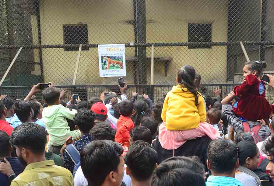 Children had a gala time taking a peek at animals at Alipore zoo. The zoo had been witnessing hundreds of visitors on the days leading up to the New Year