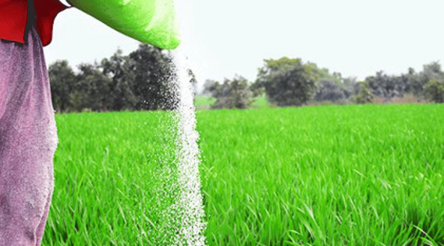 Spending on fertiliser subsidies will likely fall to about Rs 1.4 trillion, according to one of the officials and a third government official.