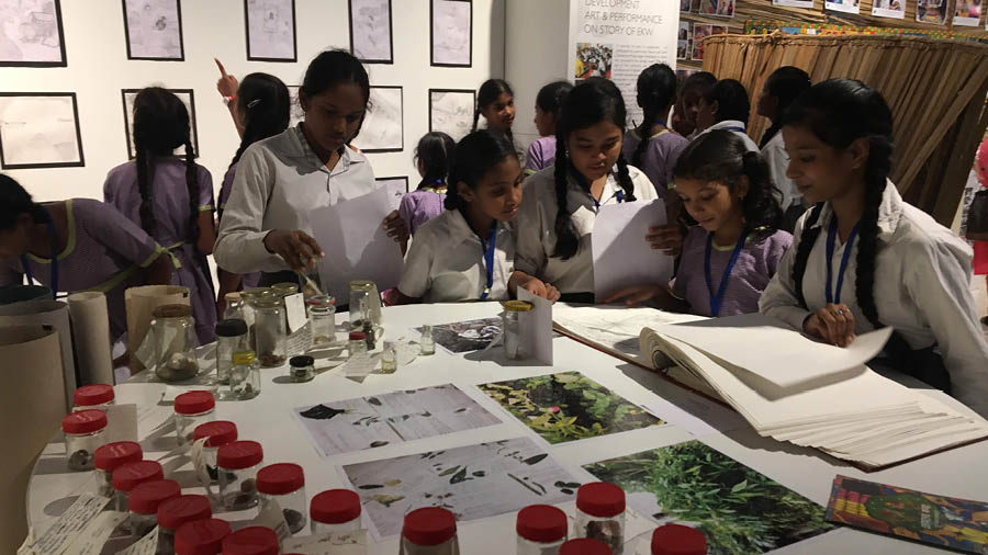 Children working on creating a nature journal to promote dialogues about biodiversity, ecology and conservation