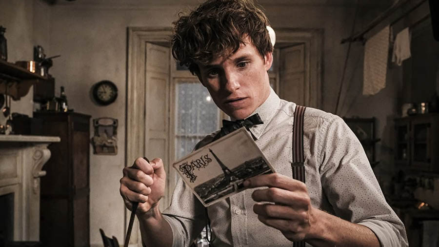 Eddie Redmayne - IMDb