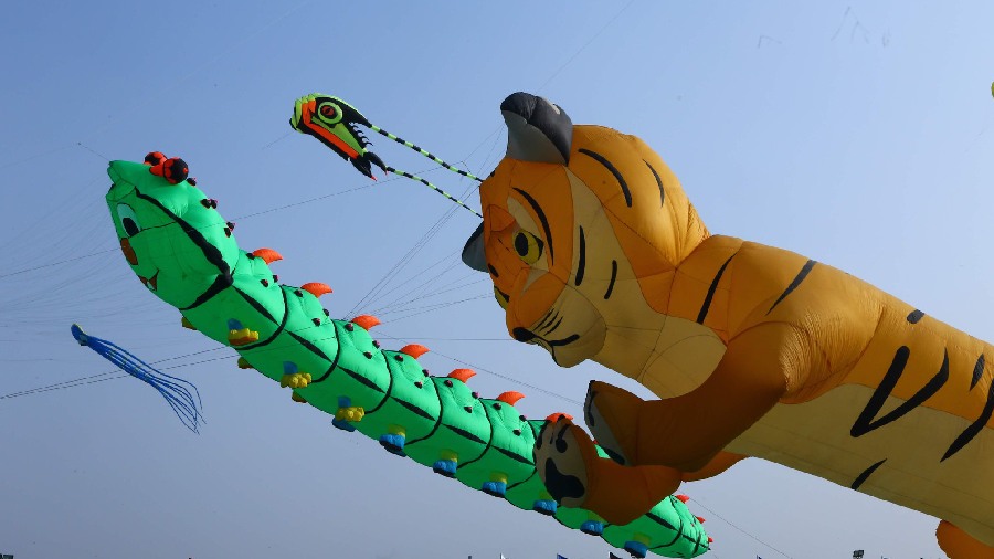 Apart from Ahmedabad, the kite festival is also being organised in Vadodara, Vadnagar, Somnath, Rajkot, Dholera, and Dhordo. 