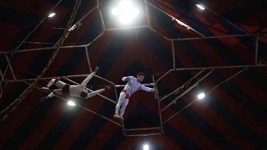 Motorcycling, juggling and trapezing are now the most popular, but only these acts can’t keep the show running