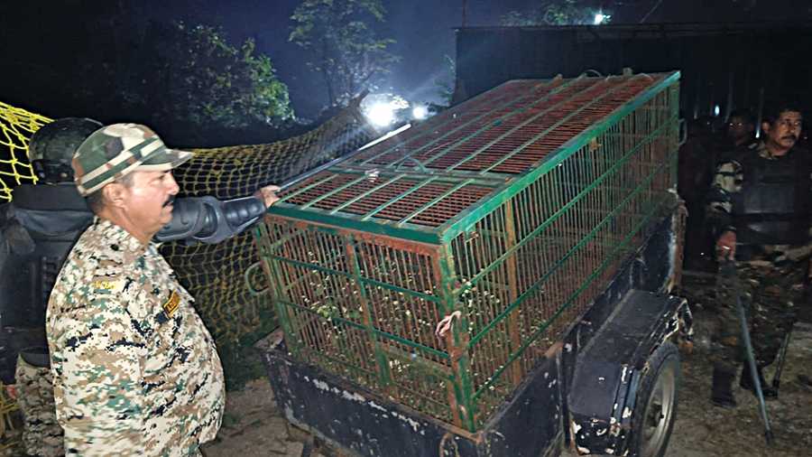 A cage brought by the forest deparment to tap the leopard at Indirapally in Shivmandir on the outskirts of Siliguri on Sunday evening