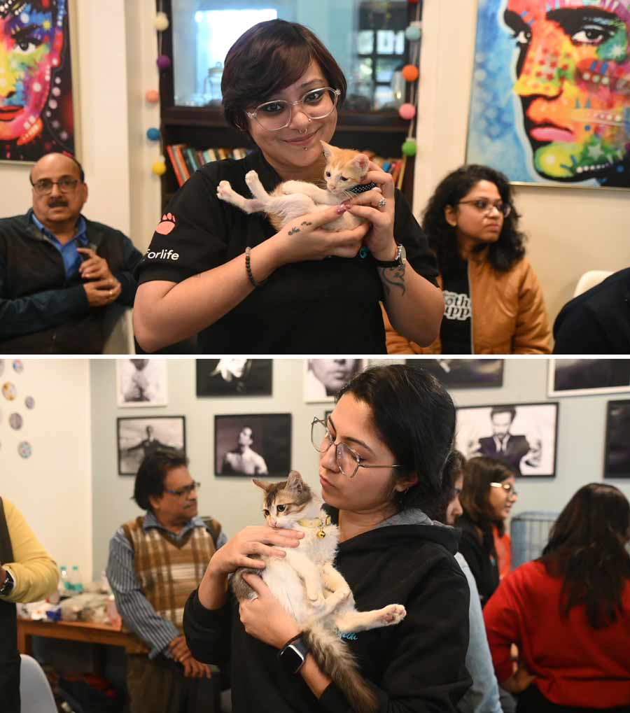 The initiative was aimed towards developing innovative solutions for getting more shelter pets adopted and expanding their shelter assistance programmes. This was the Furrfolks’ third chapter in Adopt-a-pet. Well-groomed and vaccinated, indie puppies and kittens, were up for adoption and new pet parents visited the session