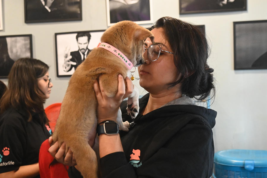 There were free health checks and vaccinations for the first 10 indie pets that were adopted