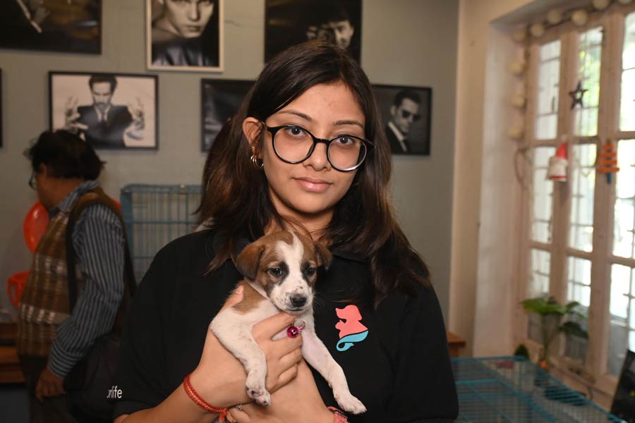Manisha Jain, branding and communication chief of Prabha Khaitan Foundation, said, “We are extremely pleased to join hands with Furrfolks on their third chapter of Adopt-a-pet. We not only want to create awareness in pet adoption but will now be able to save the lives of hundreds of homeless pets together.”  About eight kittens and puppies received loving homes while three have been booked and will be sent to their families soon. Adoptions can be done online too   