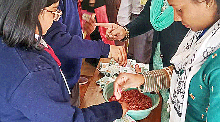 Students of Bhavan’s Gangabux Kanoria Vidyamandir pack coriander seeds.