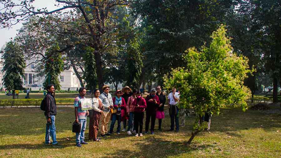 The group admires a Tejpata tree in full bloom