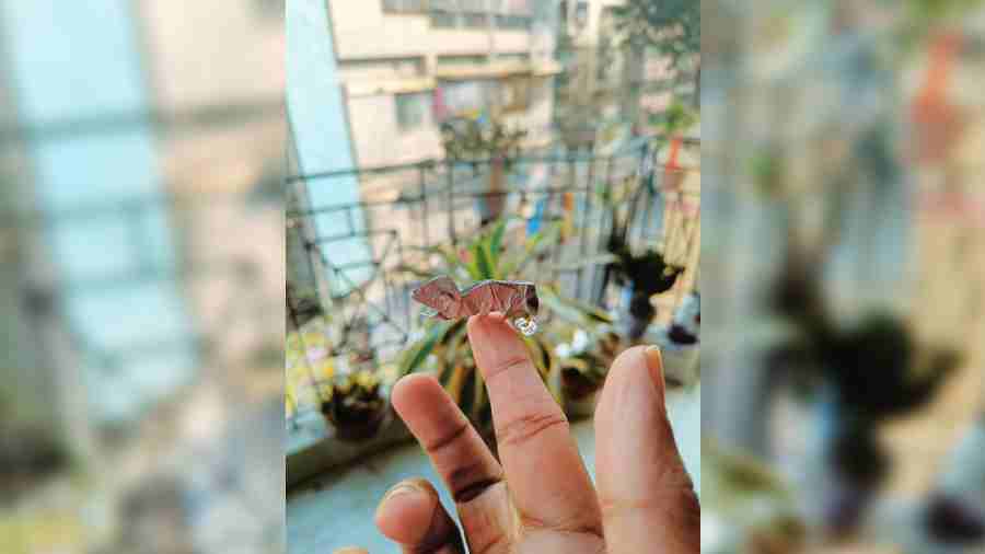 Tapodeep Bhattacharya, 18 years,  Bangur Avenue, Block-C