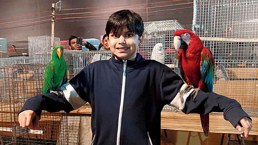 A child poses with exotic birds at the exhibition in BJ Park