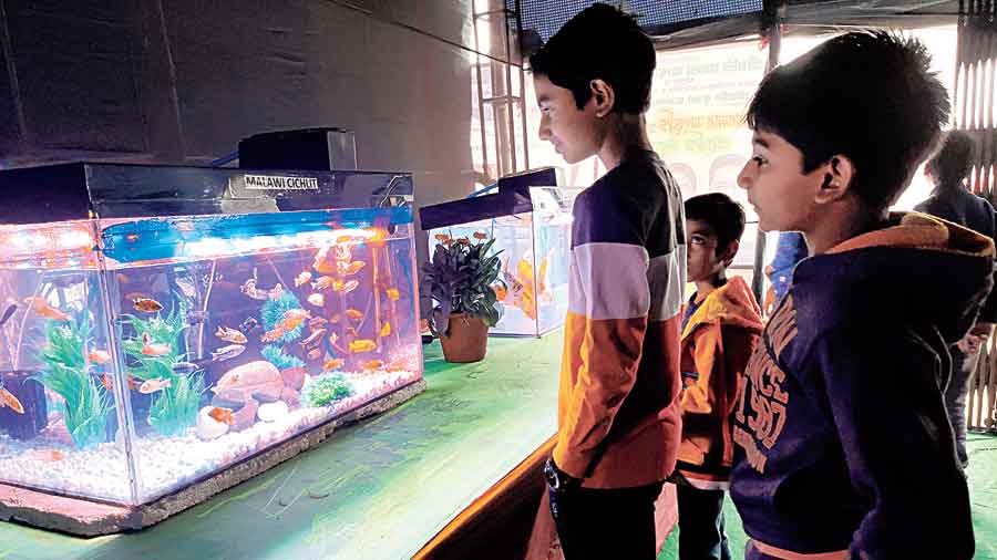 Children gaze at an acquarium at the exhibition