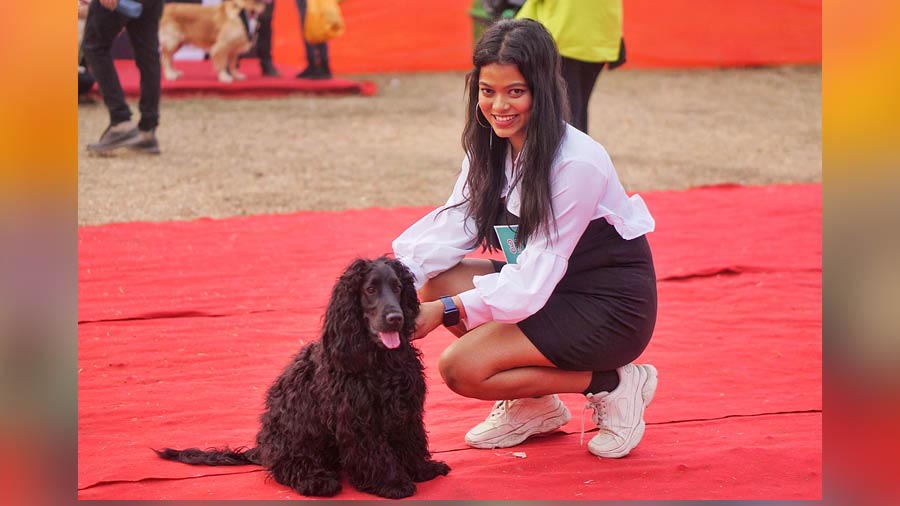 Ichapur-based doctor Saheli Roy brought her nine-month-old English Cocker Spaniel Riju to the show. ‘It was mostly about socialising Riju. Because of the sensitive fur, we cannot take him out every day and this seemed like a perfect chance,’ said Saheli