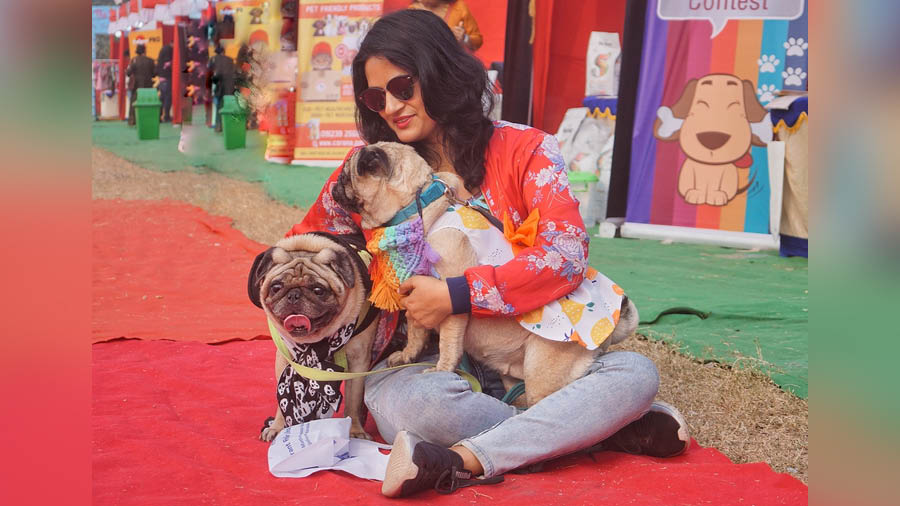 South Kolkata-based doctor Priya Das was at the show with her two pugs, Jolly and Atom, to support the cause of the event. ‘The entire earnings from the show would go to the welfare of stray dogs and we are here to support that,’ she said