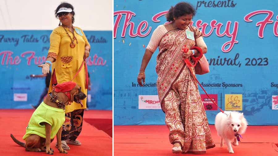 The fashion show was a big hit as dogs dressed in colourful attire took to the ramp